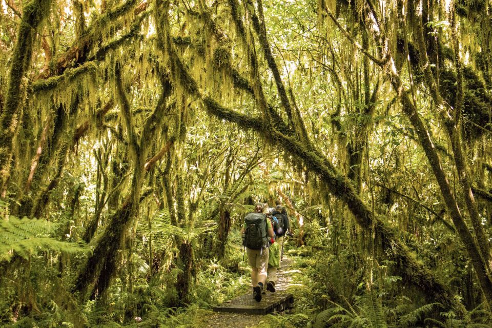 Milford Track: Full Day Guided Hike and Nature Cruise - Customer Reviews