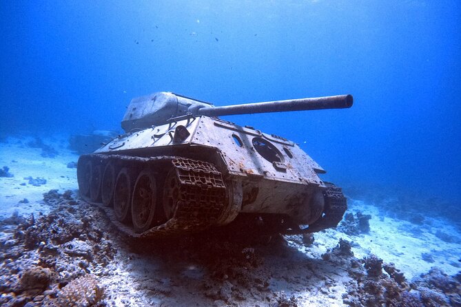 Military Museum Diving Experience in the Red Sea - Common questions