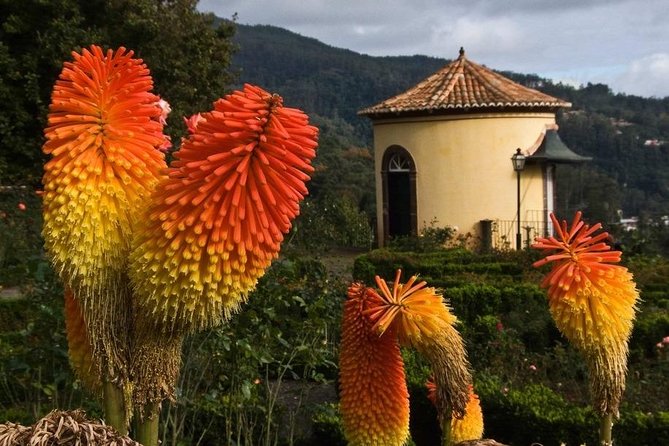 Monte Church Sanctuary and Madeira Botanical Garden Tour - Common questions