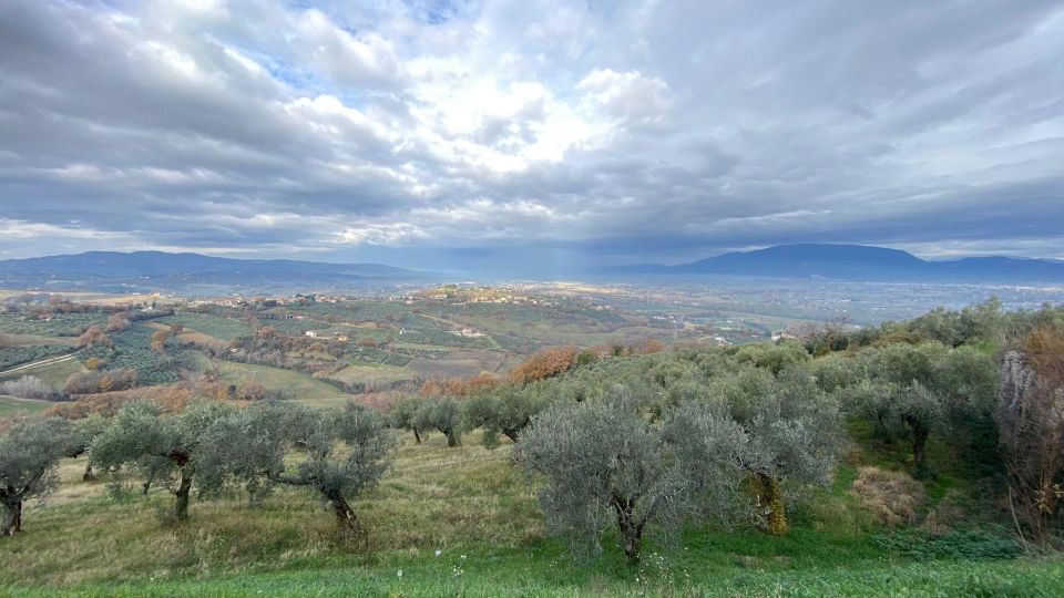 Montefalco: Guided Tour With Vineyard Visit and Lunch - Important Information