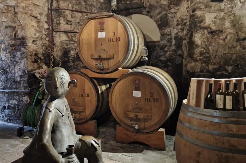 Montepulciano Wine Tasting and Assisi Private Day Tour - Additional Information
