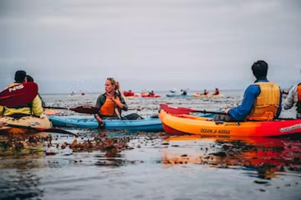 Monterey: Cannery Row Kayak Tour - Benefits of the Tour