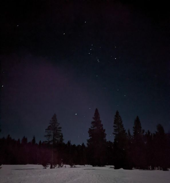 Moonlight Snowshoe Tour Under a Starry Sky - Activity Description and Snowshoeing Experience
