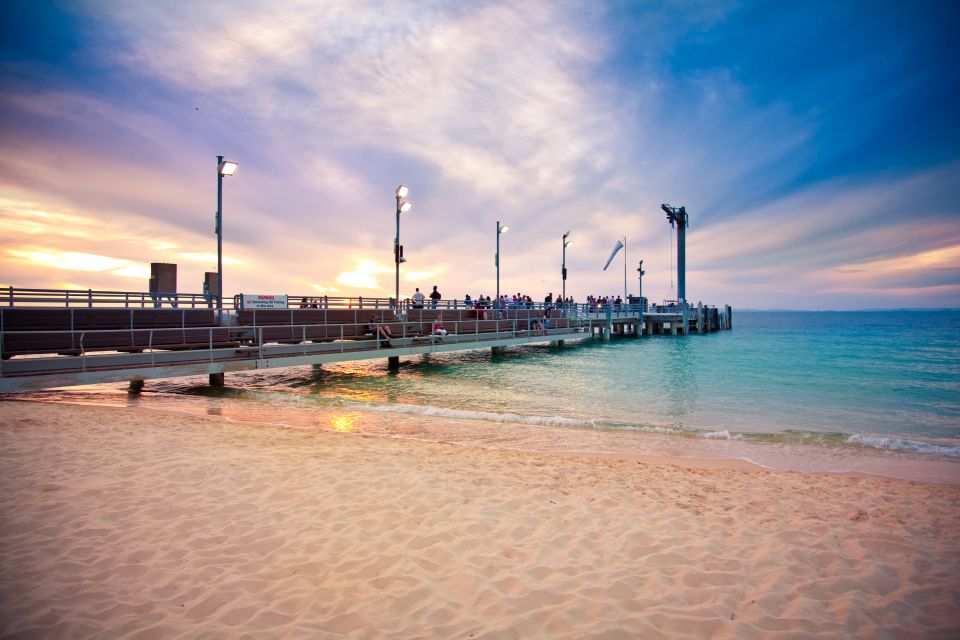 Moreton Island: Marine Discovery Cruise & Dolphin Viewing - Boat Comfort and Journey Experience