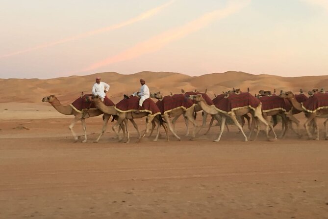 Morning Camel Trekking Over the Red Sand Dunes - Safety Guidelines