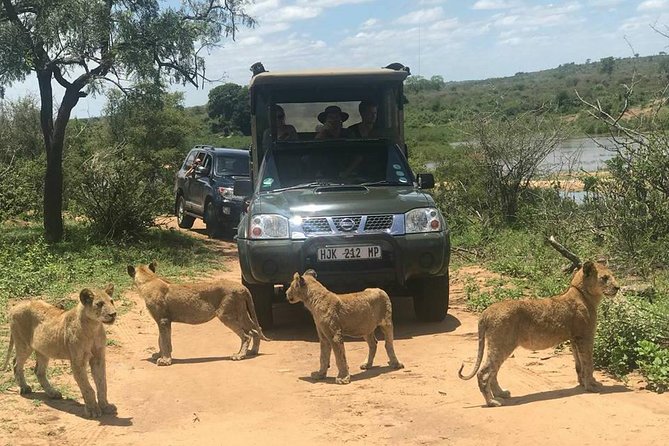 Morning Safari in Kruger National Park From Hazyview (Am Knp) - Park Entry and Additional Details