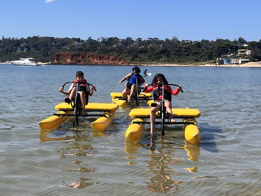 Mornington: Port Phillip Bay Water Bike Tour - Restrictions