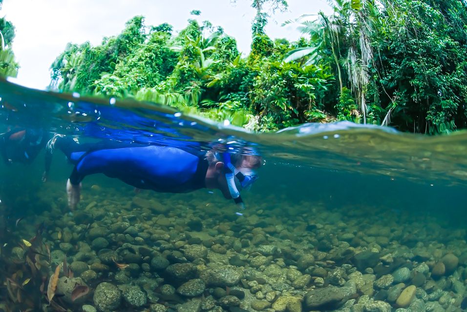 Mossman Gorge: Day Tour With River Drift Experience - Booking Information