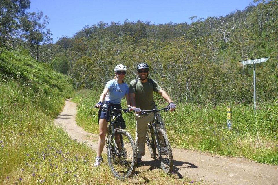 Mount Lofty Downhill Bike Tour & Cleland Wildlife Park Visit - Last Words