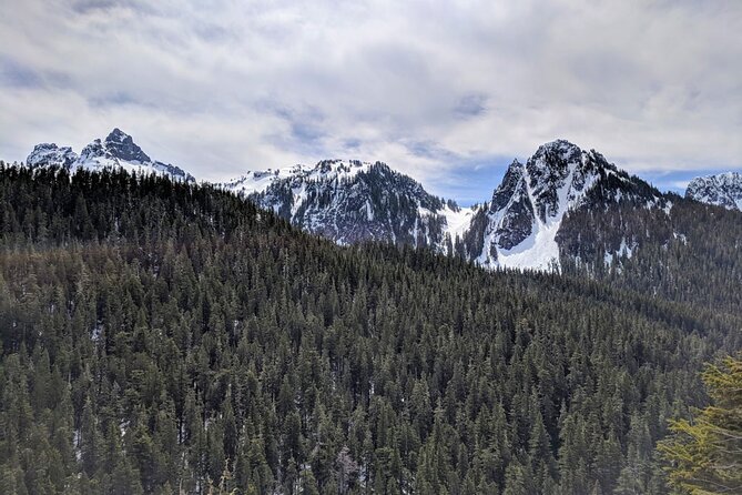 Mount Rainier National Park - Private Luxury Day Tour With Lunch - Booking Process