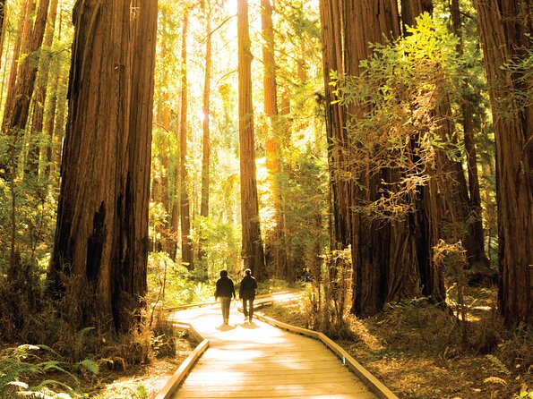 Muir Woods & Sausalito Tour - Last Words