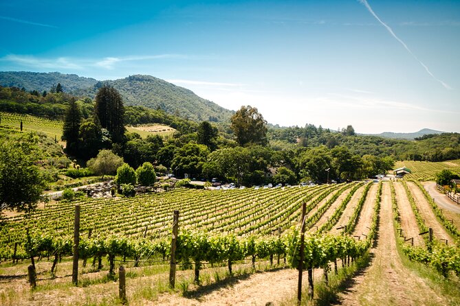 Napa and Sonoma Wine and Food Experience (Napa Pickup) - Winery Selection Criteria