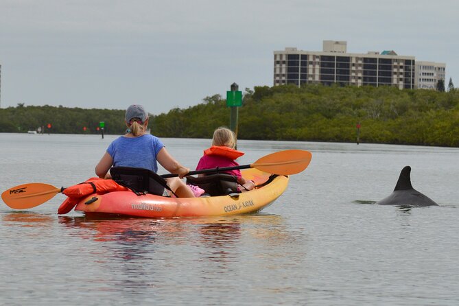 Naples Kayak Rentals at Cocohatchee River Park Marina - Safety Tips and Guidelines
