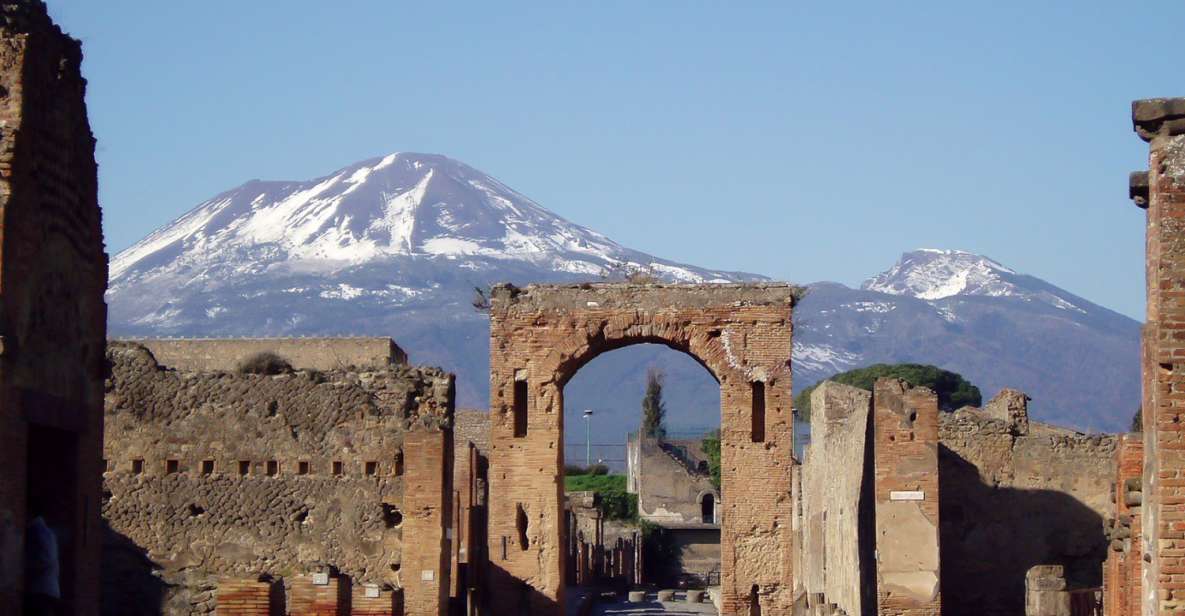 Naples: Pompeii, Herculaneum and Mt. Vesuvius Private Tour - Positive Feedback and Private Tour Benefits