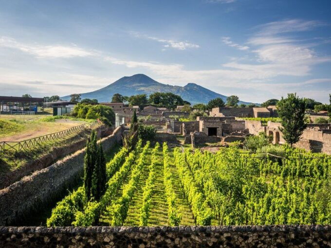 Naples: Vesuvius, Pompeii, and Vineyards Tour - Tour Inclusions