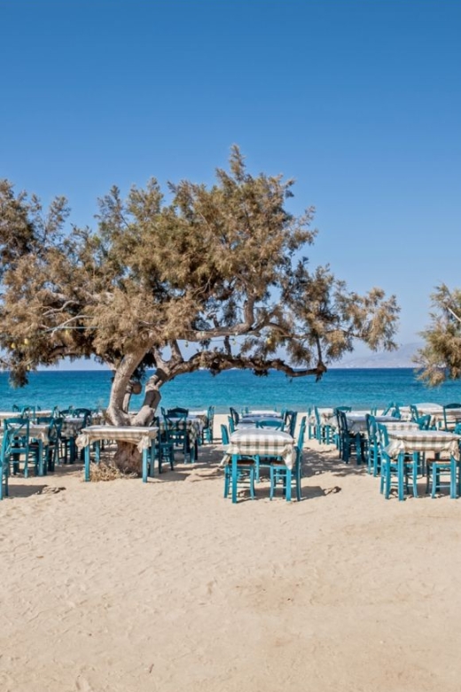 Naxos Highlights With Tastings - Historic and Cultural Highlights Discovery