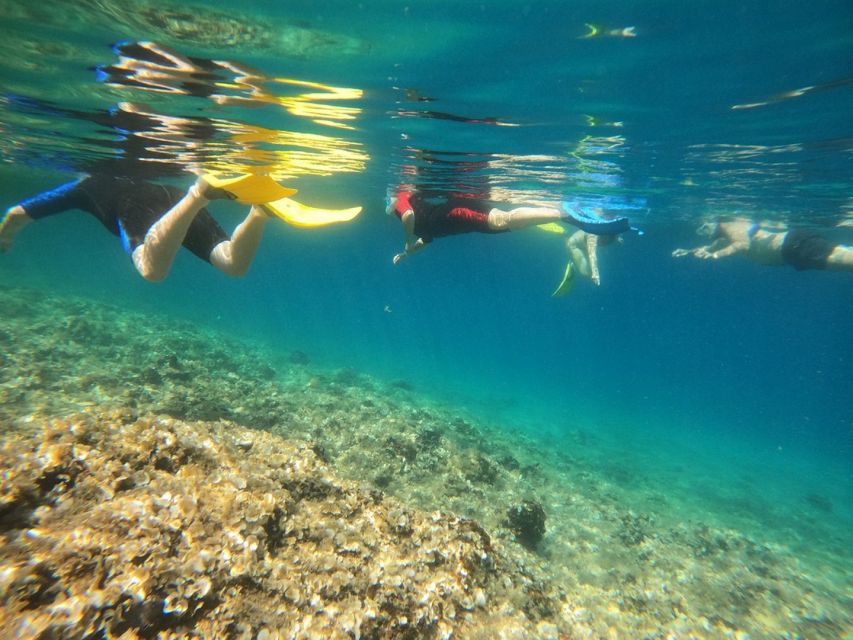 Nea Makri: Marathon Cape & Bay of Schinias Snorkeling Trip - Highlights