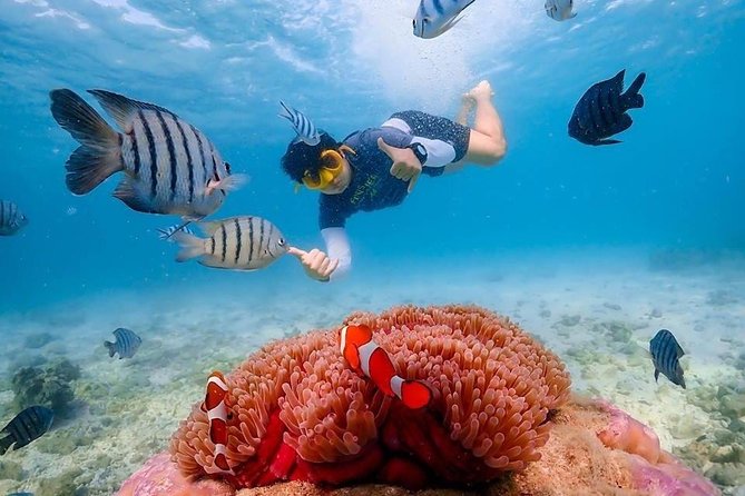 Nemo Island Experience With Drone Photos and Lunch - Navigating Nemo Island