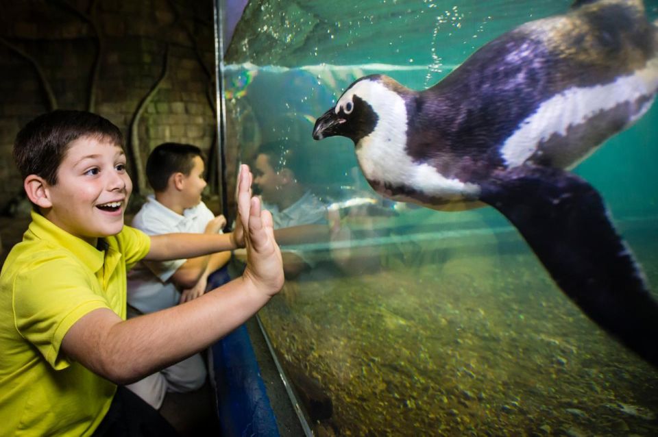 New Orleans: Audubon Aquarium Ticket & Optional Combinations - Customer Reviews