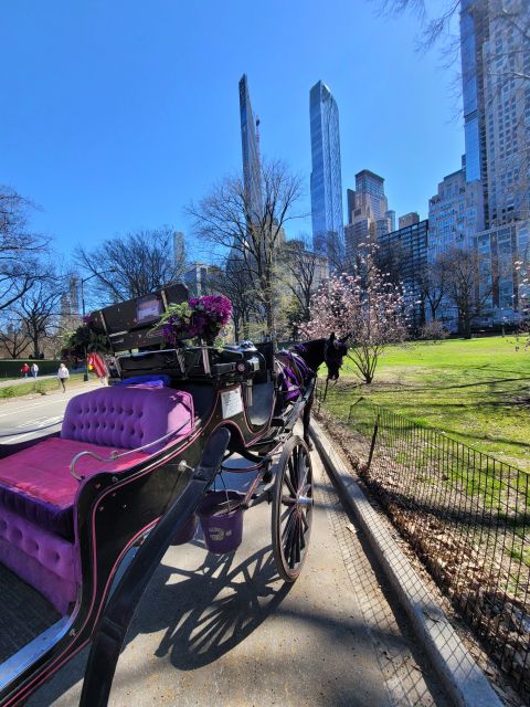 New York City: Private Horse Carriage Tour - Tour Inclusions