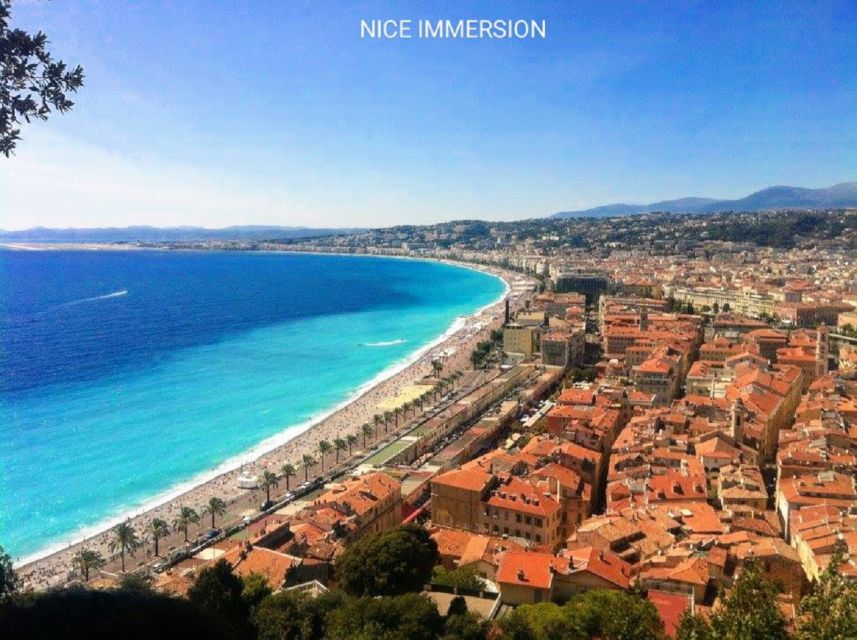 Nice City Tour - Roman Ruins Visit