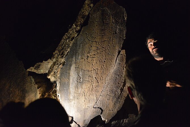 Night Visit to the Engravings of Foz CÔA in 4x4 Between DOURO and CÔA - Pricing and Additional Information