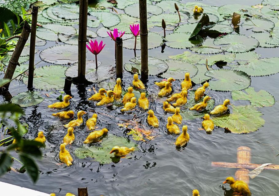 Ninh Binh Cooking Class at Buffalo Cave - Additional Information