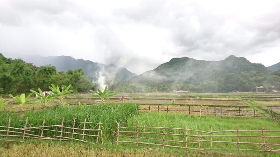 Ninh Binh - Hoa Lu - Tam Coc - Mua Caves & Buffet Lunch - Customer Feedback