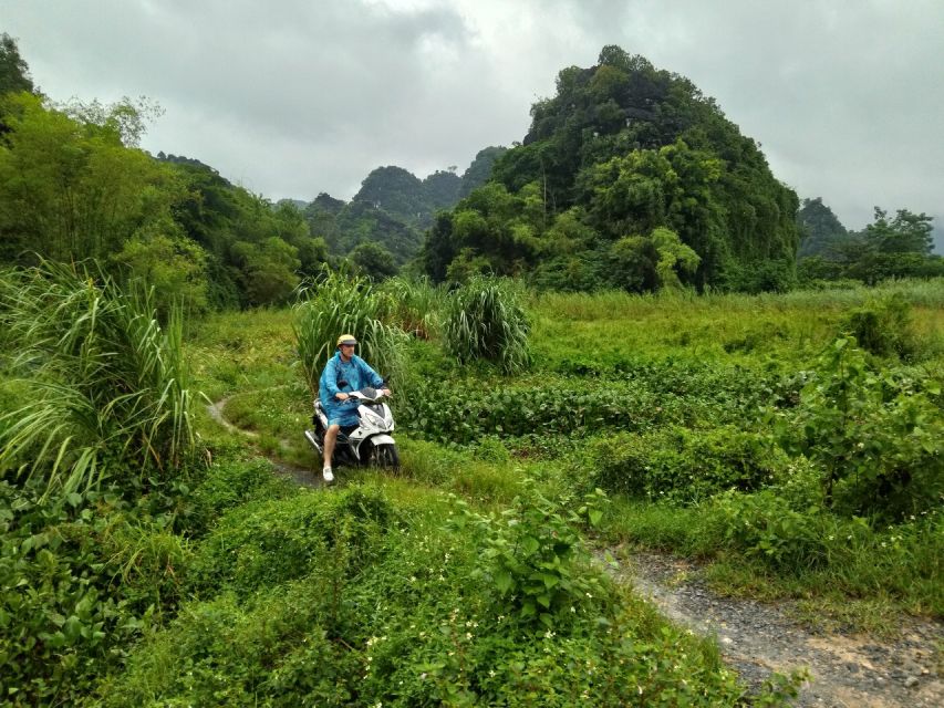 Ninh Binh Motobike Tour One Day: Hightlight And Hidden Gems - Review Summary