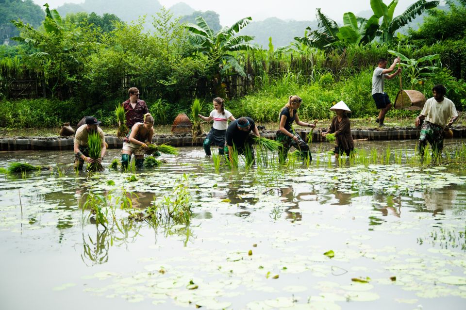 Ninh Binh Motorbike Tour: Discover the Hidden Gems - Return Journey