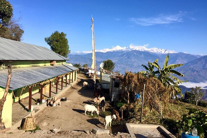 Nuwakot Zipline - Explore Historical Sites and Zipline - Important Directions and Tips