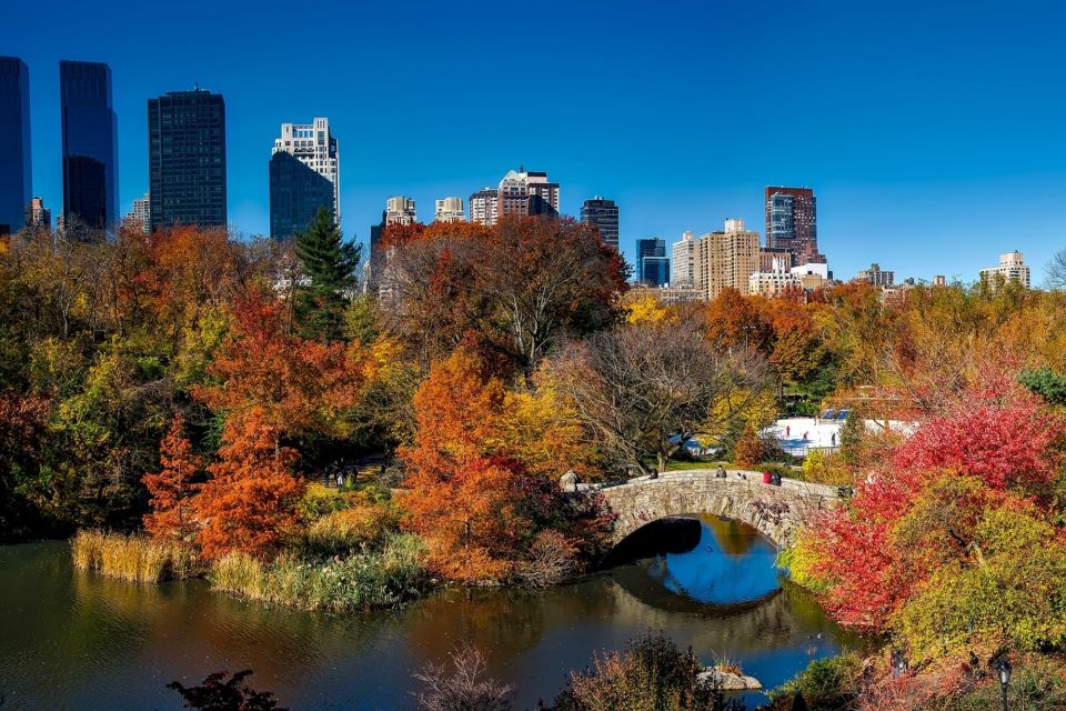 NYC: Best Of Central Park Self-Guided Scavenger Hunt & Tour - Customer Reviews
