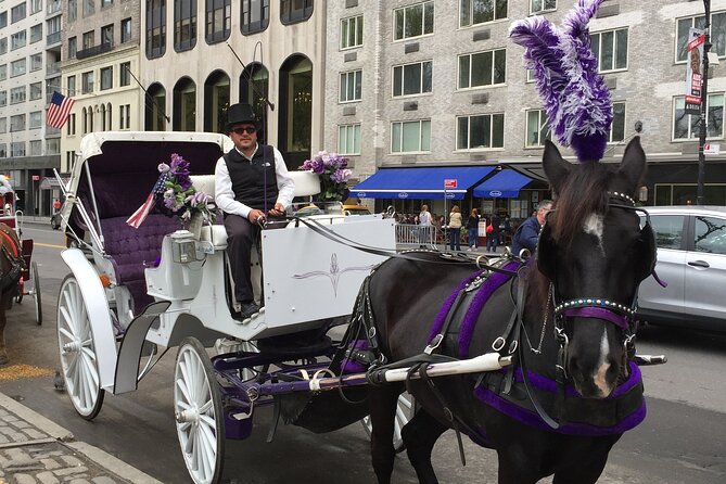 NYC Central Park Horse and Carriage Ride: Long Ride 45 Min - Cancellation Policy Details