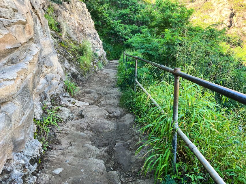 Oahu: Diamond Head Crater Trailhead Transfer & Entry Fee - Feedback and Reviews