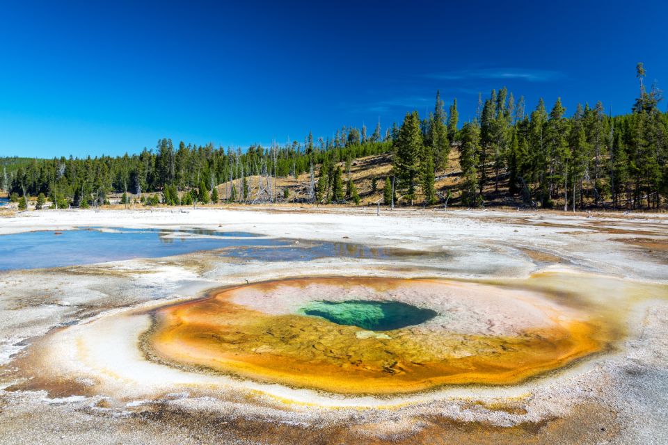 Old Faithful, West Thumb & Grand Prismatic Audio Tours - Booking Information