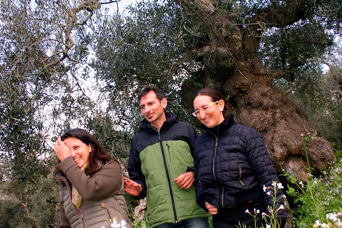 Olive Oil Mill Experience and Tasting in Salento With Guide - Insider Tips