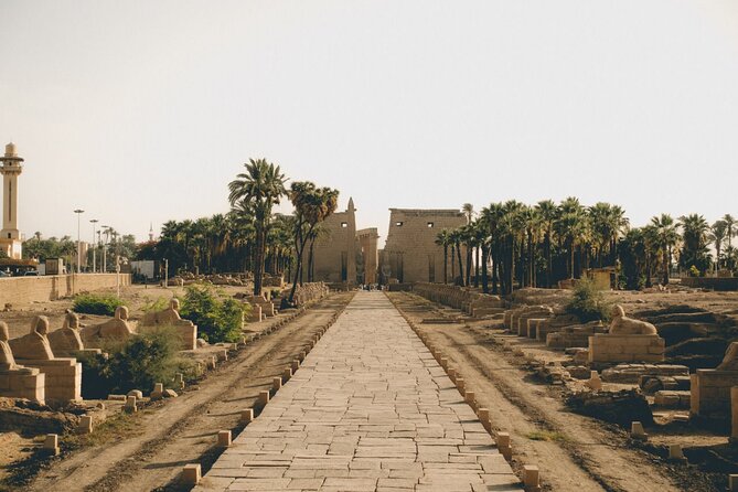 One Day Trip to Luxor From Hurghada With a Private Guide - Last Words
