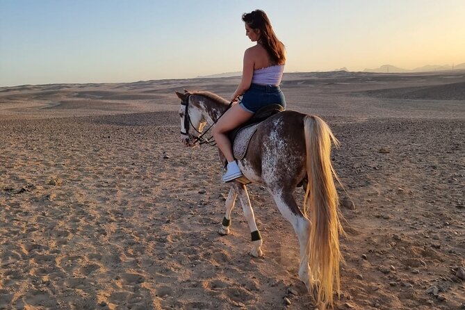 One Hour Horse or Camel Riding With Transfer- Sharm El-Sheikh - Booking Information