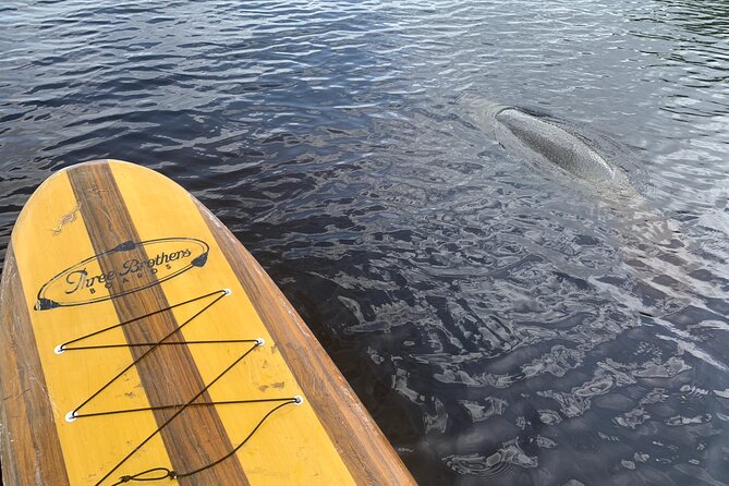 Orlando Manatee and Olde Florida History Adventure Tour - Reviews and Ratings