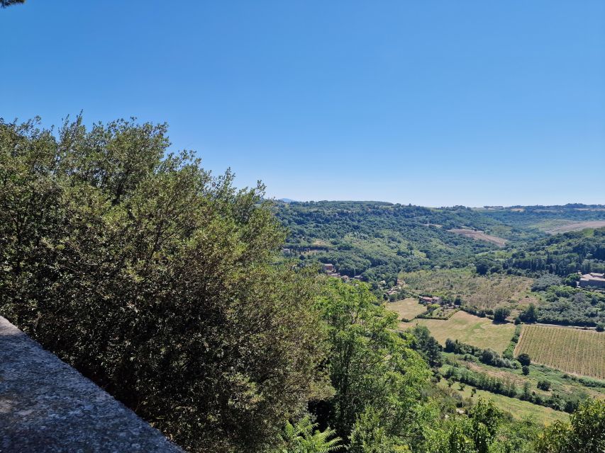 Orvieto the Etruscan City Private Tour From Rome - Booking Information
