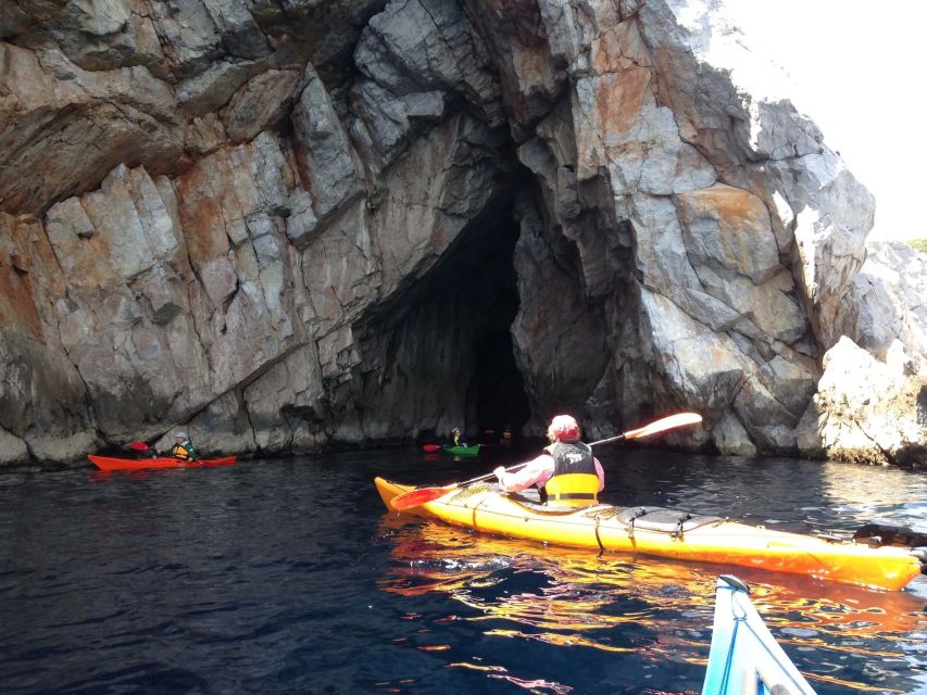 Ouranoupoli: Sea Kayaking Drenia Islands Private Day Tour - Important Participant Information