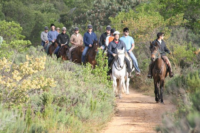Paarl Horseback Riding Tour  - Stellenbosch - Key Points