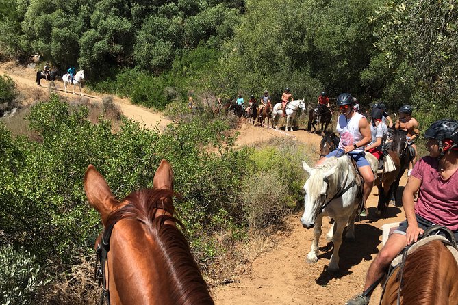 Paarl Small-Group Horseback Riding Tour  - Stellenbosch - Tour Directions