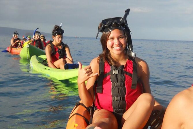 Paddle, Snorkel and Learn to Surf - All in a Day on Maui (South Side) - Overall Customer Satisfaction