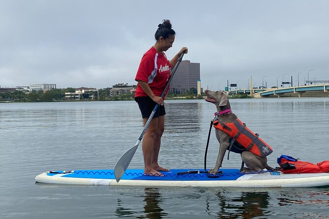 Paddleboarding With Dogs and Rabbits  - Orlando - End Point Details