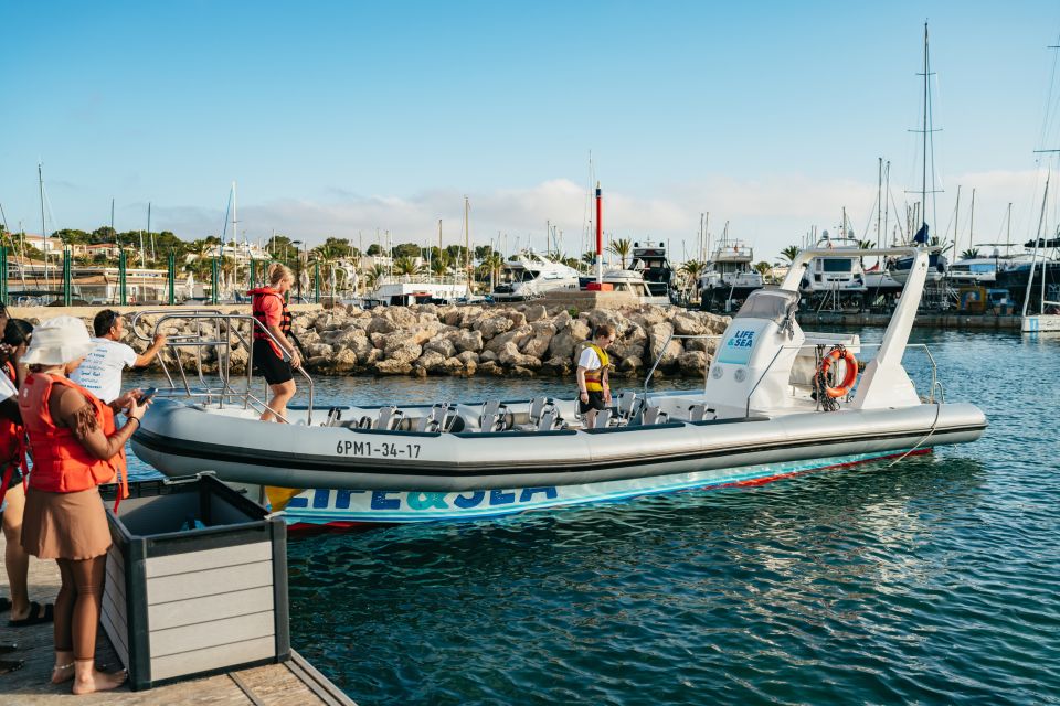 Palma Bay: 1-Hour Speedboat Adventure - Activity Experience Highlights