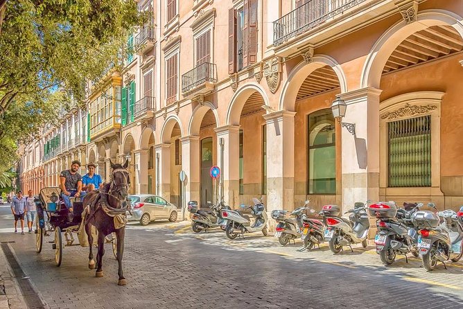 Palma De Mallorca Private Walking Tour With Tour Guide - Last Words