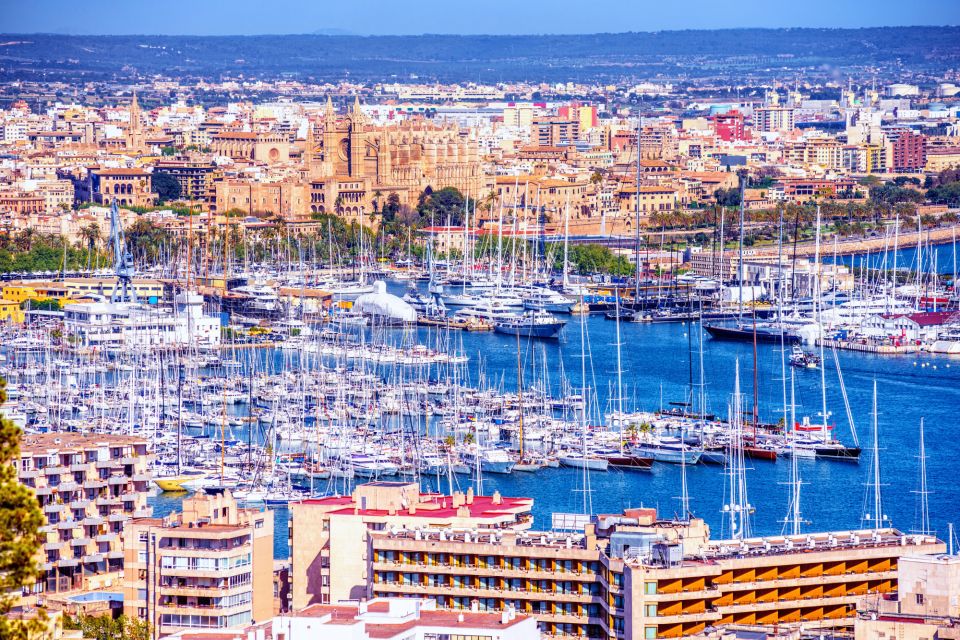 Palma Mallorca: Highlights Self-Guided Scavenger Hunt & Tour - Important Information