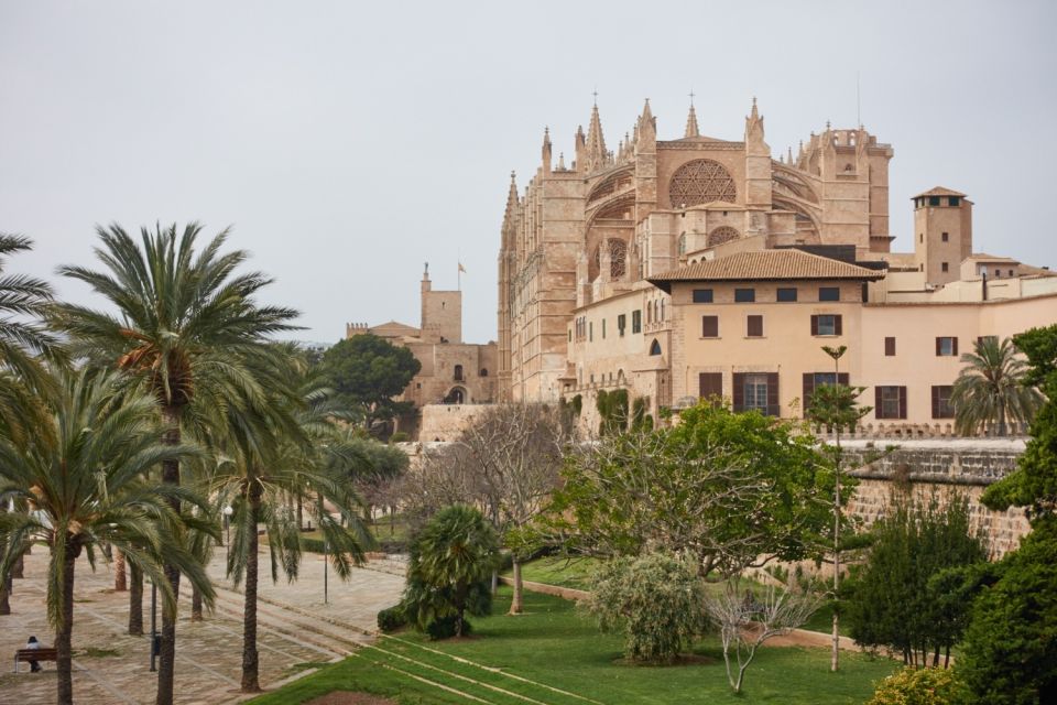 Palma: Walking Tour With Mediterranean Delicacies - Customer Reviews