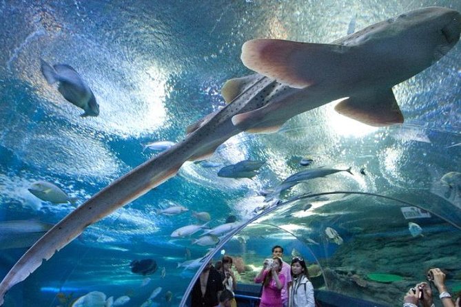 PATTAYA: Join Tour Under Water World Pattaya - Last Words